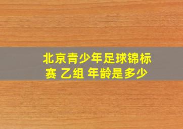 北京青少年足球锦标赛 乙组 年龄是多少